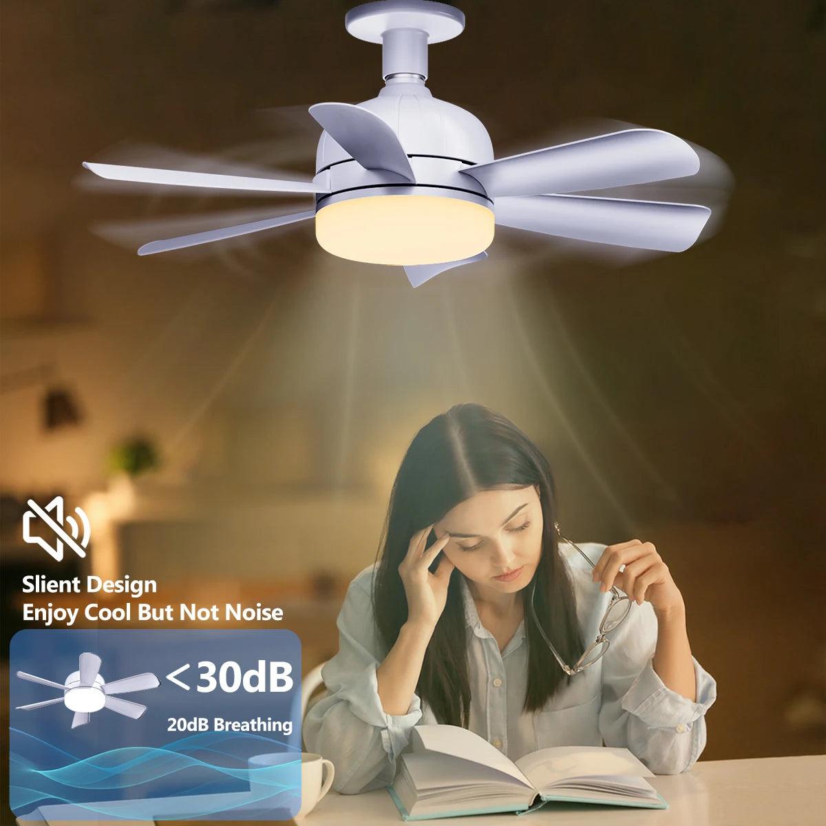 Macy Grey Socket Fan Light With Remote