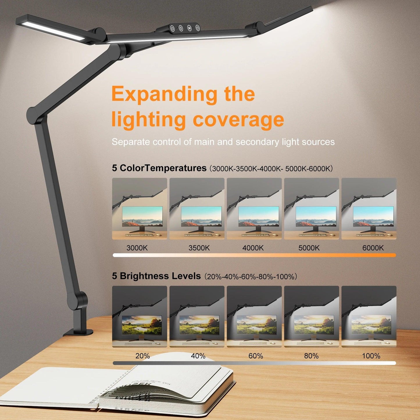 Ethan Embry Desk Lamp with Clamp