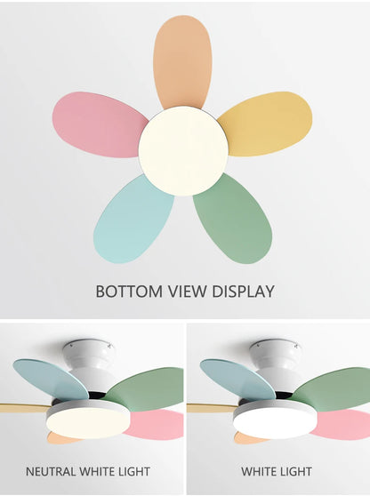 Lucy Vain Ceiling Fan