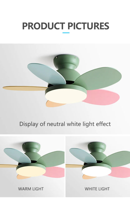 Lucy Vain Ceiling Fan