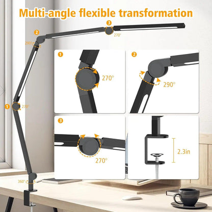 Lindsay Burdge LED Desk Lamp