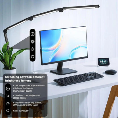 Lindsay Burdge LED Desk Lamp