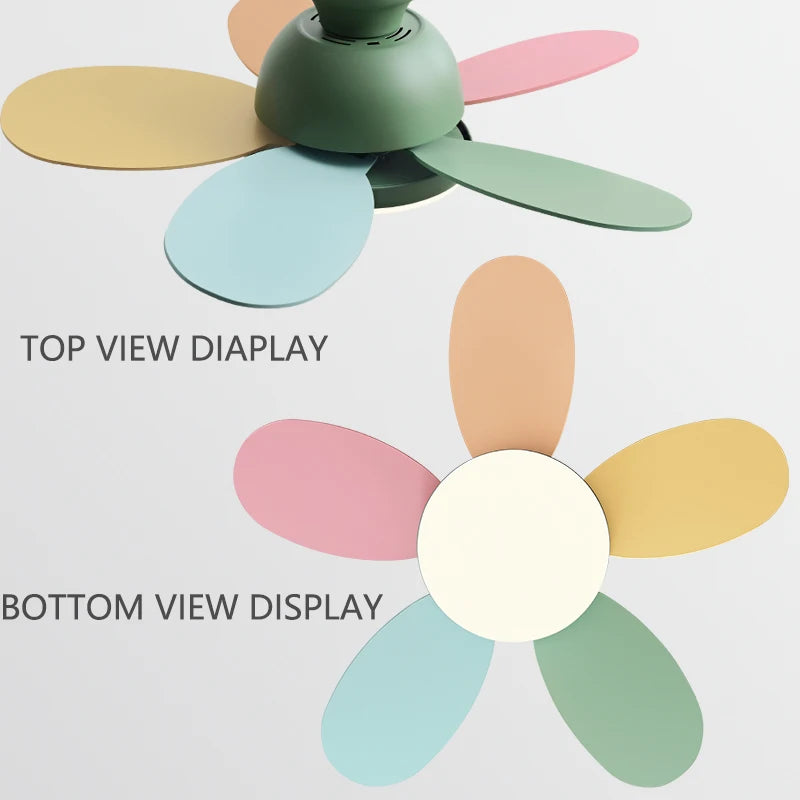 Lucy Vain Ceiling Fan