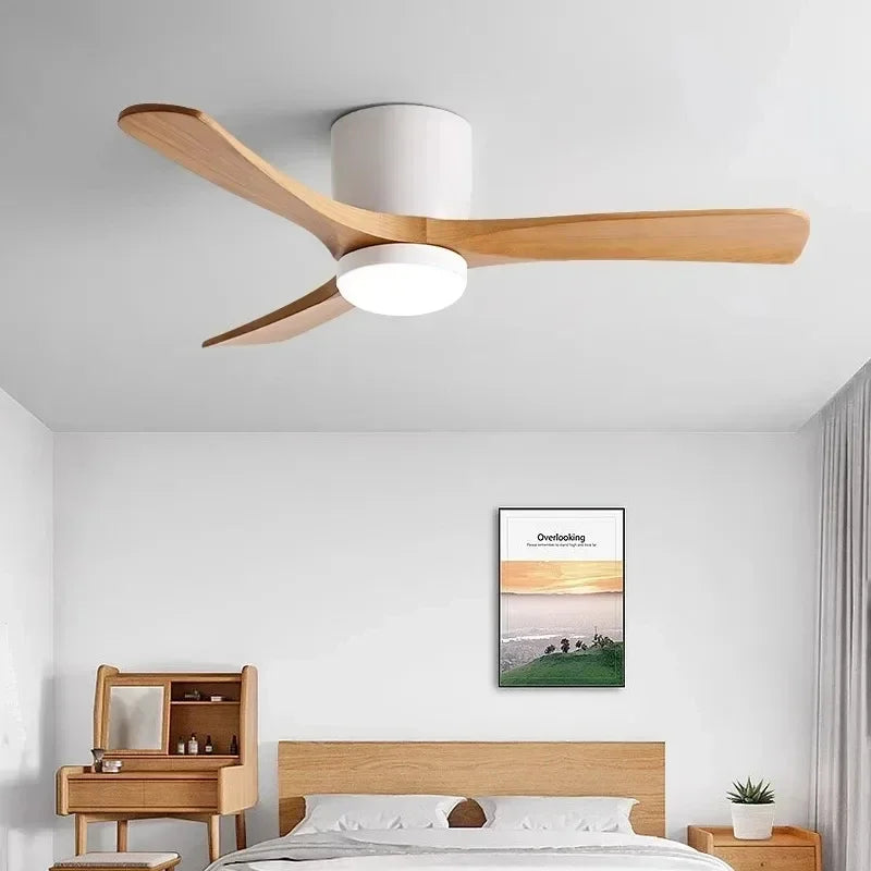 Helen Sharp Modern Ceiling Fan with Light