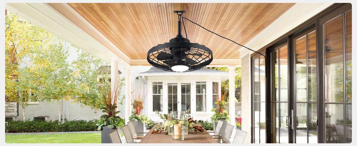 Daniel Bruise 20" Outdoor Ceiling Fan