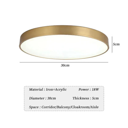 Carlos Miller Modern Flush Mount Ceiling Light