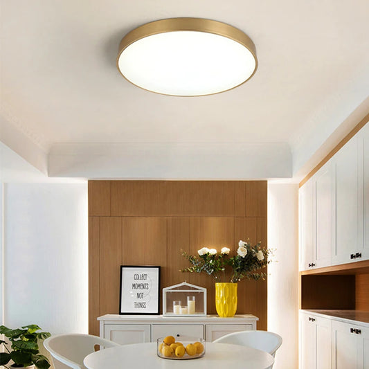 Carlos Miller Modern Flush Mount Ceiling Light