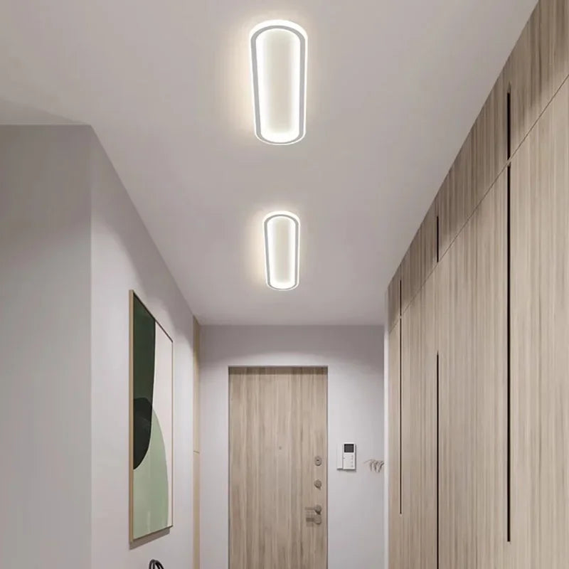 Tara Adams Modern Flush Mount LED Ceiling Light