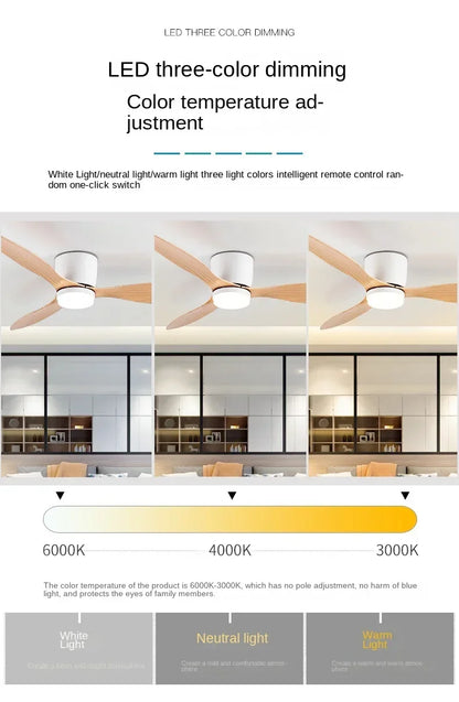 Modern LED Ceiling Fan Light With Remote Control Low Floor Decorative Light Energy-saving Light With Fan In Bedroom And Home