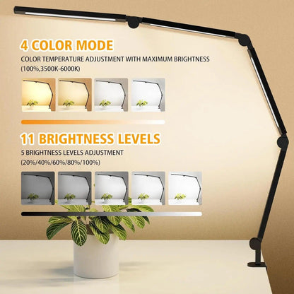 Lindsay Burdge LED Desk Lamp