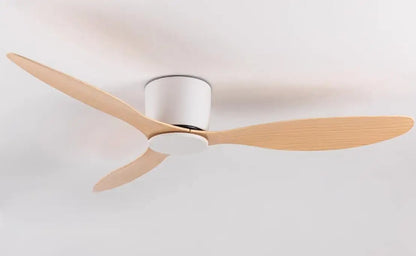 Paula Berry Modern Ceiling Fan