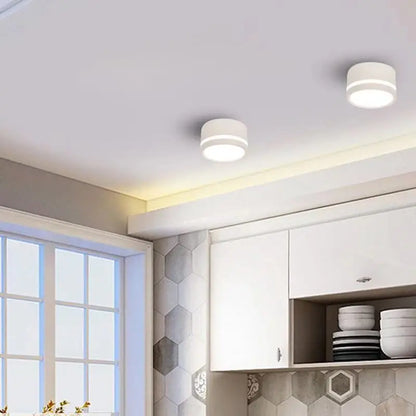 Tim Hendricks LED Downlight