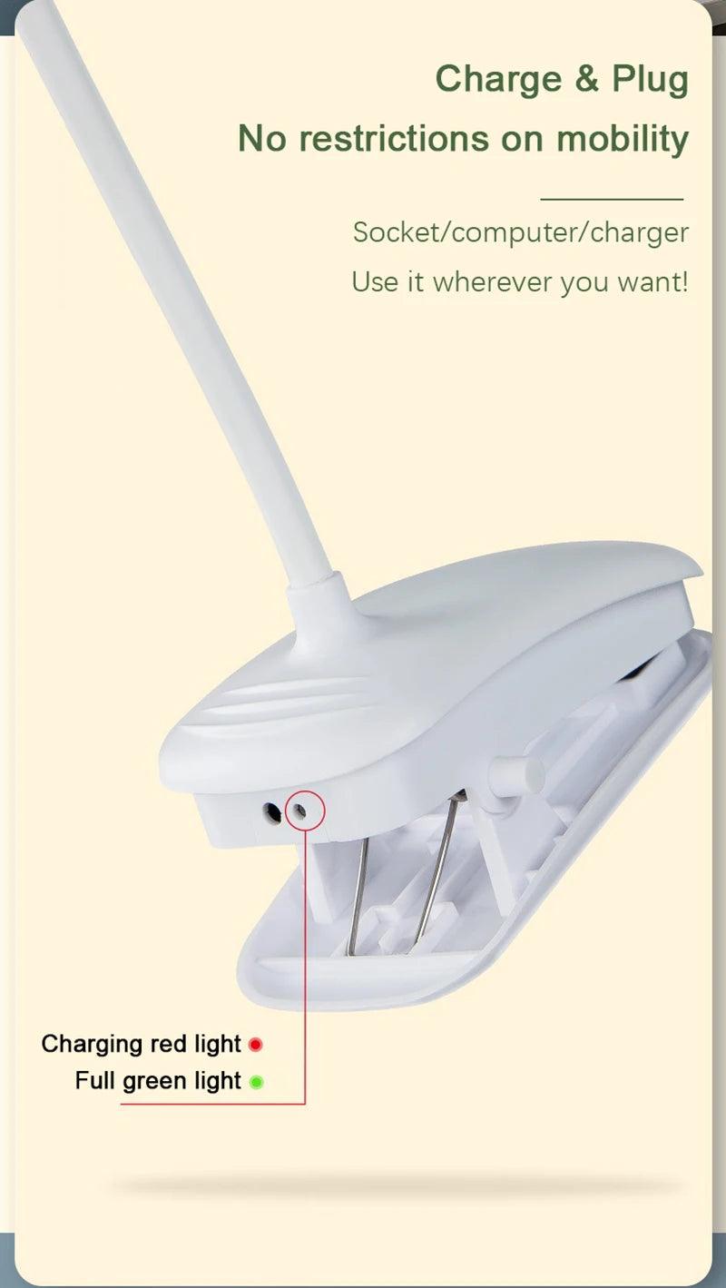 Bell Hooks LED Double-Headed Desk Lamp