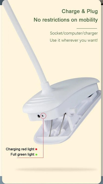 Bell Hooks LED Double-Headed Desk Lamp