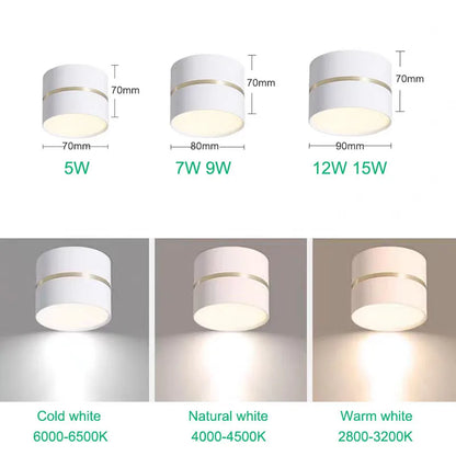 Kim Saigh LED Downlight